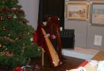 Harp Music at the FMNH Christmas Shopping Event