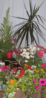 Isle of Man - Flower Festival