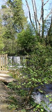 Isle of Man - Silverdale Glen