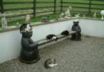 Mann Cat Sanctuary