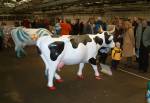 Isle of Man Cow Parade Last Viewing at Ronaldway