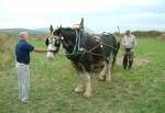 Field Work at the Cregneash Gathering (Cruinnaght Chreneash) 