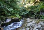 Ballaglass Glen