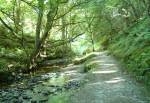 Glen Mooar