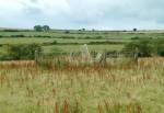 St Patrick's Chair near Crosby