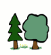 Summer Trees