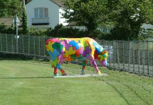 Cow No. 19