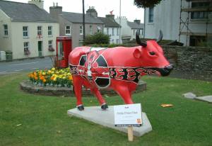 Celtic Cross Cow