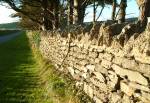 Wall boarding Road to Knockaloe Farm<br> Made from the flooring of the Camp Buildings.