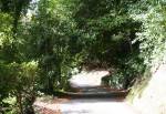 Laxey Glen