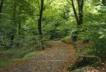 Laxey Glen