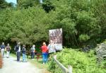 Laxey Wheel