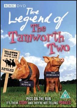 Tamworth Two
