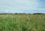 Ballalough Reedbeds Nature Reserve