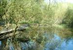 Onchan Wetlands Nature Reserve