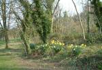 Ballure Walk, Ramsey