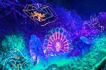 Summerhill Illuminations (Photo from Douglas Borough Council