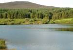 Cringle Reservoir