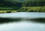 Cringle Reservoir