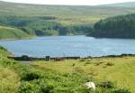 Sulby Reservoir