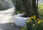 Fairy Bridge in Santon