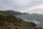 Niarbyl