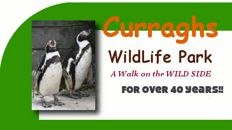 Curragh Wildlife Park