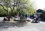 Picnic Area near the Cafe at the Curraghs Wildlife Park