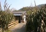 The Ark at the Curraghs Wildlife Park