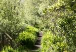 The Butterfly Trail in the Curraghs Wildlife Park