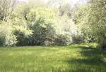 The Nature Trail in the Curraghs Wildlife Park