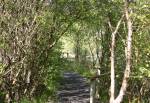 The Nature Trail in the Curraghs Wildlife Park